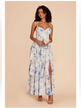 Birdy Grey Lola Chiffon Dress in Blue Rococo Floral